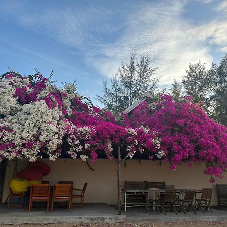 Orchid Boutique Beach Resort Phan Thiet Exteriör bild