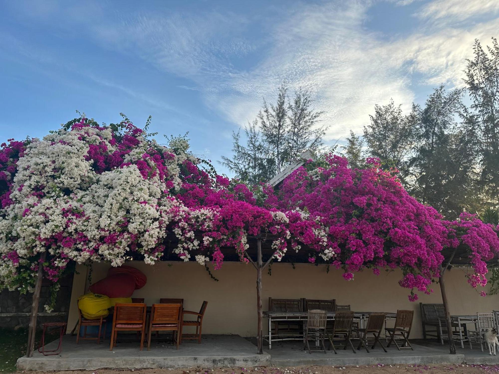 Orchid Boutique Beach Resort Phan Thiet Exteriör bild